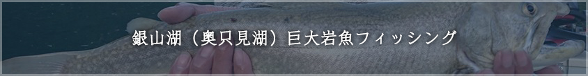 巨大岩魚フィッシング